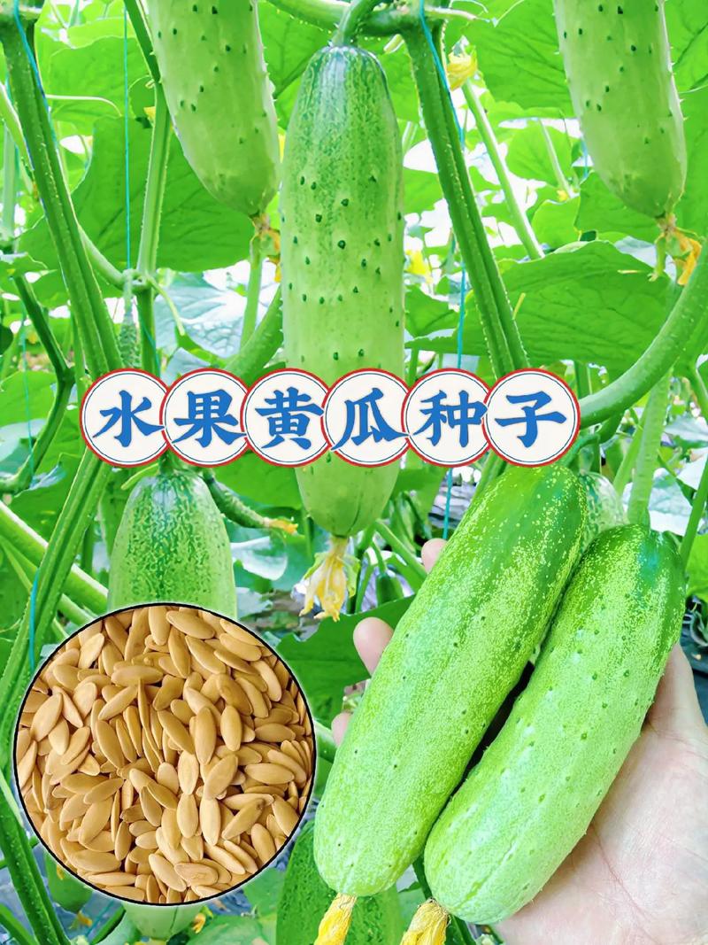 艾灸贴